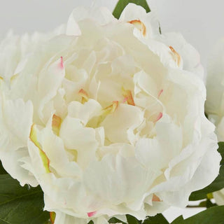EDG Enzo De Gasperi Bouquet 5 Peonie H48 cm Bianco