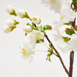 EDG Enzo De Gasperi Ramo di Sakura H92 cm Bianco