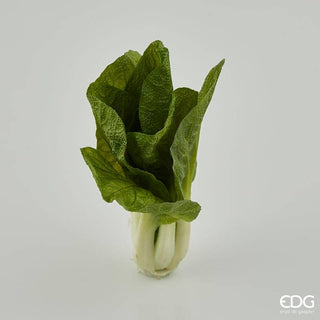 EDG Enzo De Gasperi Lattuga Cespo H20 cm
