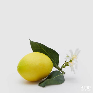 EDG Enzo De Gasperi Limone Duke con Fiori e Foglie 12 cm