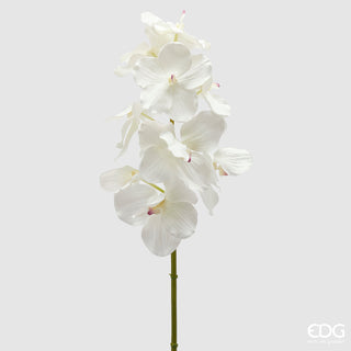 EDG Enzo De Gasperi  Ramo Artificiale di Orchidea Vanda H 95 Cm Bianco