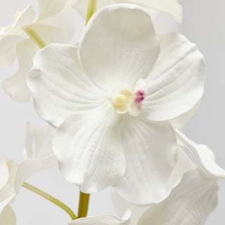 EDG Enzo De Gasperi  Ramo Artificiale di Orchidea Vanda H 95 Cm Bianco