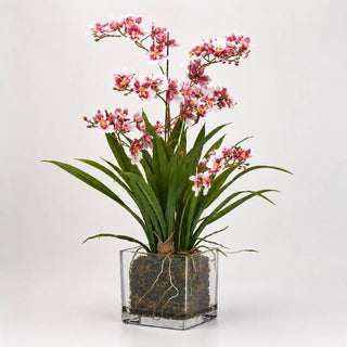 EDG Enzo De Gasperi Orchidea con Vaso H61 cm