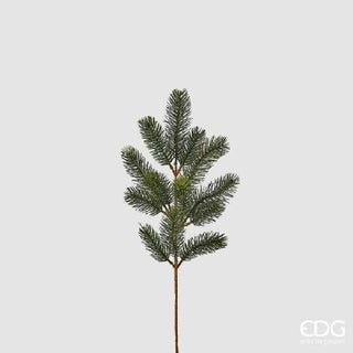 EDG Enzo De Gasperi Ramo di Pino H50 cm