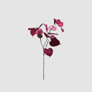 EDG Enzo De Gasperi Ramo di Ficus in Velluto H80 cm Rosa Scuro