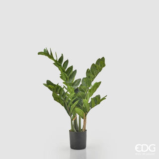 EDG Enzo De Gasperi Pianta Artificiale Zamifolia con Vaso H70 cm