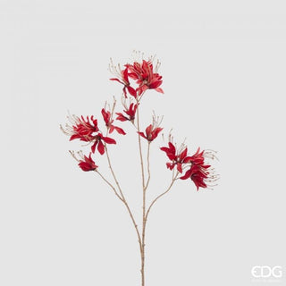 EDG Enzo De Gasperi Ramo di Nerina H75 cm Rossa