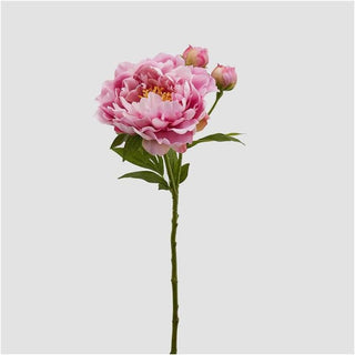 EDG Enzo De Gasperi Ramo Artificiale di Peonia Rex H60 cm Rosa