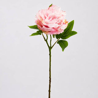 EDG Enzo De Gasperi Ramo Artificiale di Peonia Olis H45 cm Rosa