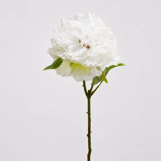 EDG Enzo De Gasperi Ramo Artificiale di Peonia Olis H45 cm Bianco