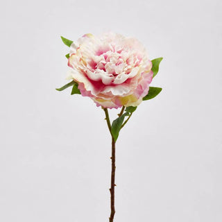 EDG Enzo De Gasperi Ramo Artificiale di Peonia Olis H45 cm Viola