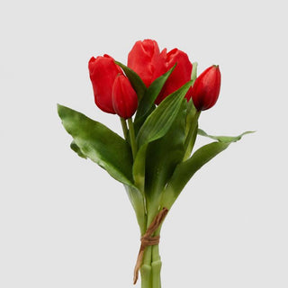 EDG Enzo De Gasperi Bouquet Di Tulipani Rosso H28 cm