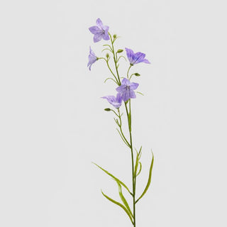 EDG Enzo De Gasperi Ramo di Campanula con Foglie H70 cm Viola