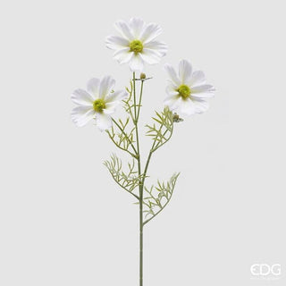 EDG Enzo De Gasperi Ramo di Cosmos H65 cm Bianco