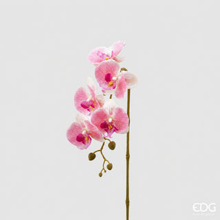 EDG Enzo De Gasperi Ramo di Orchidea Phalaenopsis 3d x5 H70 cm Rosa