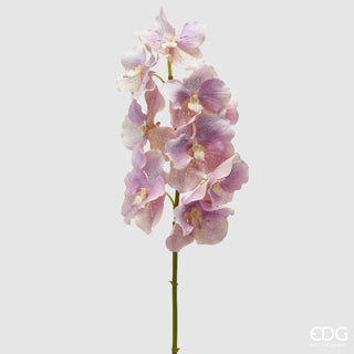 EDG Enzo De Gasperi Ramo Artificiale di Orchidea Vanda H 95