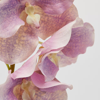 EDG Enzo De Gasperi Ramo Artificiale di Orchidea Vanda H 95