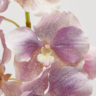 EDG Enzo De Gasperi Ramo Artificiale di Orchidea Vanda H 95