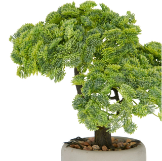 Gasper Bonsai Sedum Artificiale H24 cm con Vaso in Cemento e Ghiaia