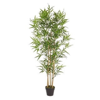 Andrea Bizzotto Pianta Artificiale Bamboo con Vaso H155 cm