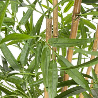 Andrea Bizzotto Pianta Artificiale Bamboo con Vaso H155 cm