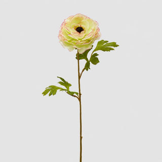 EDG Enzo De Gasperi Fiore Artificiale di Ranuncolo Rex H65 cm Verde