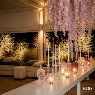 EDG Enzo De Gasperi Vaso BonBon H23 Cm