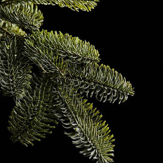EDG Enzo de Gasperi Offerta Albero di Natale Pino Merano 180 cm + Base Tronco + 500 Miniled + Borsa (Copia)