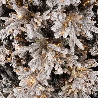 Andrea Bizzotto Albero di Natale Berkshire Inn 6428 Rami 2500 Led H240 Cm