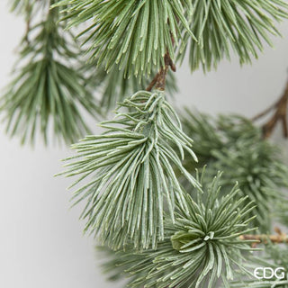 EDG Enzo De Gasperi Festone Cedro H180 cm
