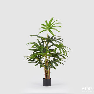 EDG Enzo De Gasperi Pianta Artificiale Palma Rapisgracilis con Vaso H120 Cm
