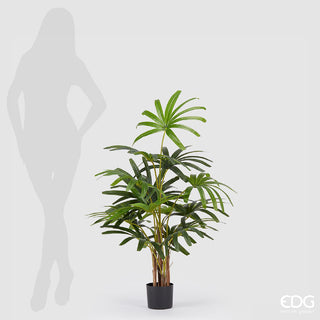 EDG Enzo De Gasperi Pianta Artificiale Palma Rapisgracilis con Vaso H120 Cm