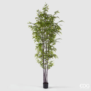 EDG Enzo De Gasperi Pianta Artificiale Bamboo con Vaso H240 Cm