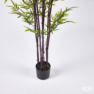 EDG Enzo De Gasperi Pianta Artificiale Bamboo con Vaso H240 Cm