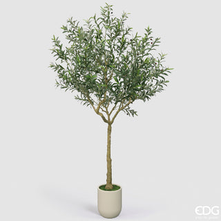 EDG Enzo De Gasperi Pianta Artificiale Olivo Vogue con Vaso H240 Cm