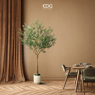 EDG Enzo De Gasperi Pianta Artificiale Olivo Vogue con Vaso H240 Cm