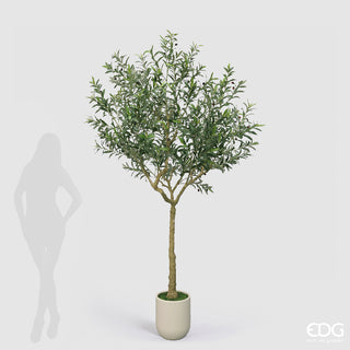 EDG Enzo De Gasperi Pianta Artificiale Olivo Vogue con Vaso H240 Cm