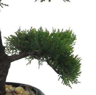 Gasper Bonsai Artificiale di Cedro H37 cm con Vaso in Ceramica e Ghiaia
