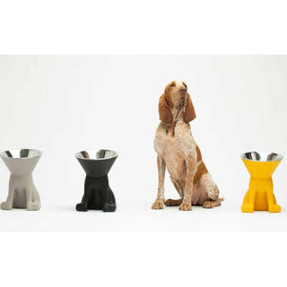 Slide Ciotola per Cani Elizabeth H21,5 cm Dove Grey