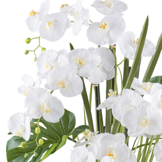 Gasper Pianta Artificiale Phalaenopsis H110 cm Real Touch con Vaso