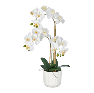 Gasper Pianta Artificiale Phalaenopsis x3 H65 cm Real Touch con Vaso