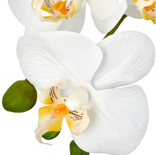 Gasper Pianta Artificiale Phalaenopsis x3 H65 cm Real Touch con Vaso