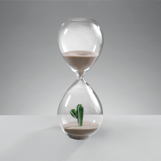 Mascagni Casa Clessidra Decorativa Cactus H20 cm