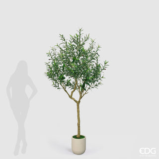 EDG Enzo De Gasperi Artificial Olive Tree Vouge with Vase H 210 cm