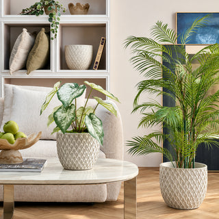 EDG Enzo De Gasperi Pianta Artificiale Palma Areca con Vaso H135 Cm
