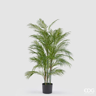 EDG Enzo De Gasperi Pianta Artificiale Palma Areca con Vaso H135 Cm