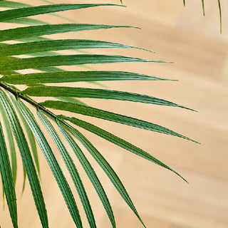 EDG Enzo De Gasperi Pianta Artificiale Palma Areca con Vaso H135 Cm
