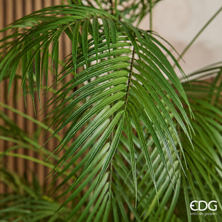 EDG Enzo De Gasperi Pianta Artificiale Palma Areca con Vaso H183 Cm