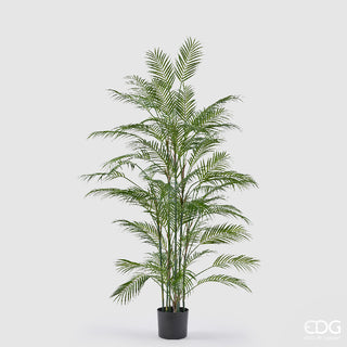 EDG Enzo De Gasperi Pianta Artificiale Palma Areca con Vaso H183 Cm