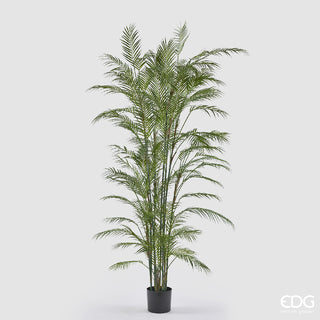 EDG Enzo De Gasperi Pianta Artificiale Palma Areca con Vaso H223 Cm